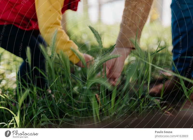 Mother and child picking plants close up Close-up Hand motherhood Mother with child Child Spring Caucasian Together Woman Parents care Family & Relations Love