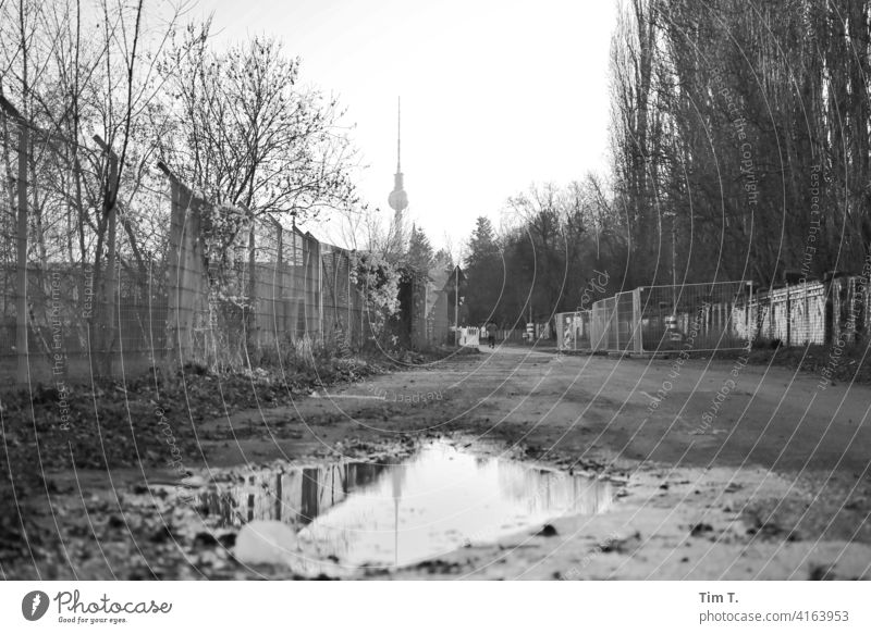 an old path through the wall park with puddle b/w Television tower Puddle Lanes & trails Berlin Prenzlauer Berg Capital city Exterior shot Deserted Day