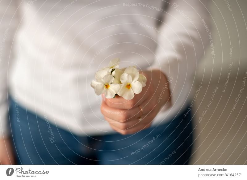 Woman holding a bunch of pansies in her hand flowers Pansy Hand Ring jeans white shirt Feminine Bouquet Flower feminine White for you Gift Birthday blurriness