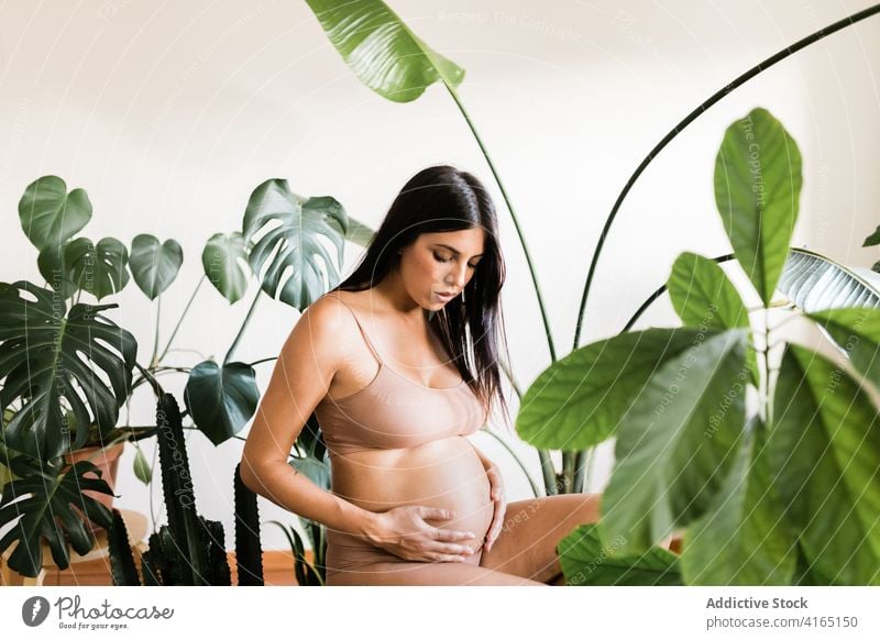 Delicate pregnant woman touching belly in room underwear lingerie prenatal pregnancy delicate tender female stool green tummy expect stomach mother anticipate