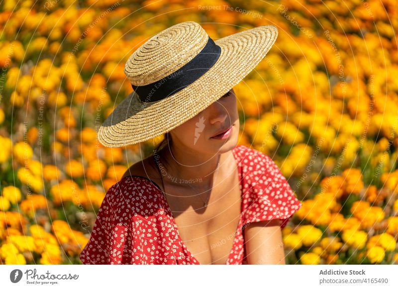 Smiling woman in hat relaxing in botanic garden summer carefree dress smile flower bloom female blossom flowerbed rest chill sit straw hat sunny stone border