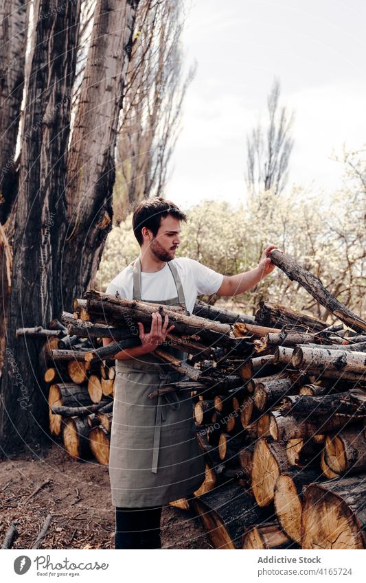 Man taking firewood in forest man picnic log branch nature apron pile male summer tree environment rural countryside fresh season prepare wooden natural timber