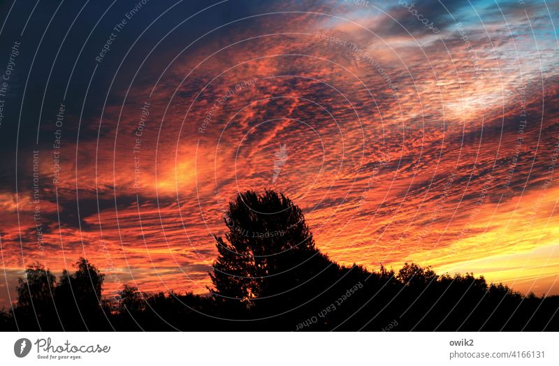 Background radiation Exterior shot Colour photo Deserted Dawn Sunrise Sunlight Panorama (View) Low-key Silhouette Morning Beautiful weather Horizon Clouds Sky