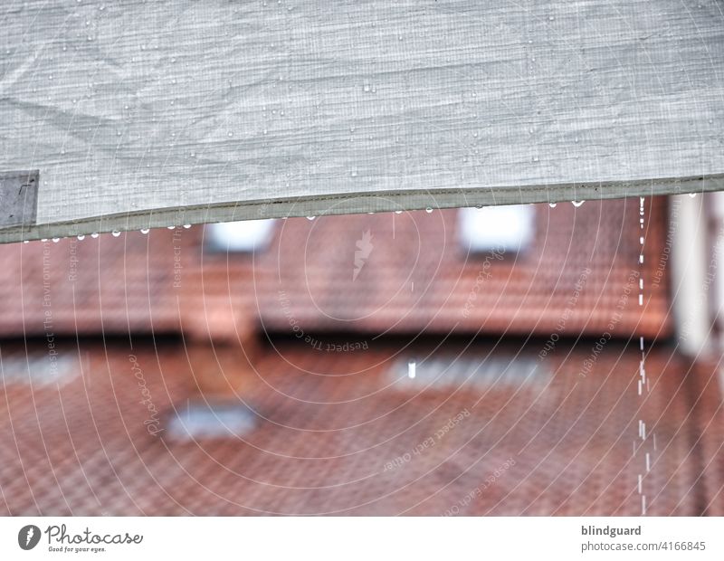 I Can't Stop The Rain Feasts & Celebrations Marquee Garden pavilion rain shelter Exterior shot Wet Drop Drops of water raindrops Weather Bad weather Detail