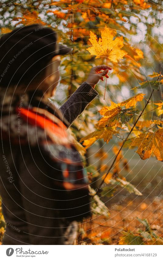 #A9# Autumn leaves in the park Exterior shot Autumnal weather Hiking Positive To go for a walk Hair and hairstyles being out Experience Nature Young woman