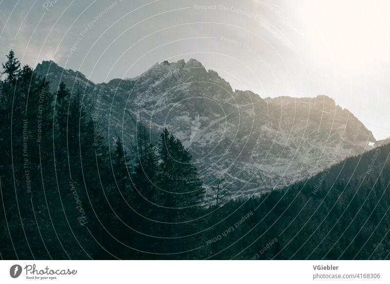 View of the Zugspitze from below / resp. the side of the Eibsee, in the foreground trees / coniferous forest / mountain massif Mountain Nature Bavaria Eib Lake