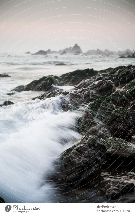 Spray on the beach of Sao Pedro de Muel Environment Nature Landscape Plant Elements Air Water Drops of water Summer Waves Coast Beach Bay Ocean Emotions Moody