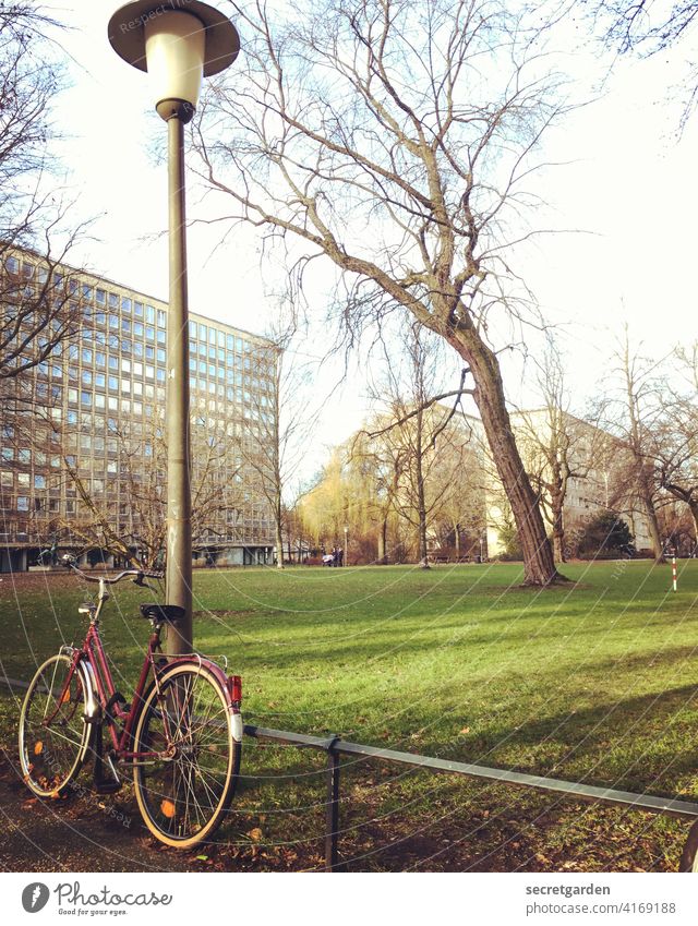 In need of support Bicycle Cycle path Parking lot Lantern Lighting Lanes & trails Architecture Building High-rise Hamburg Tree Meadow Exterior shot Town Fence