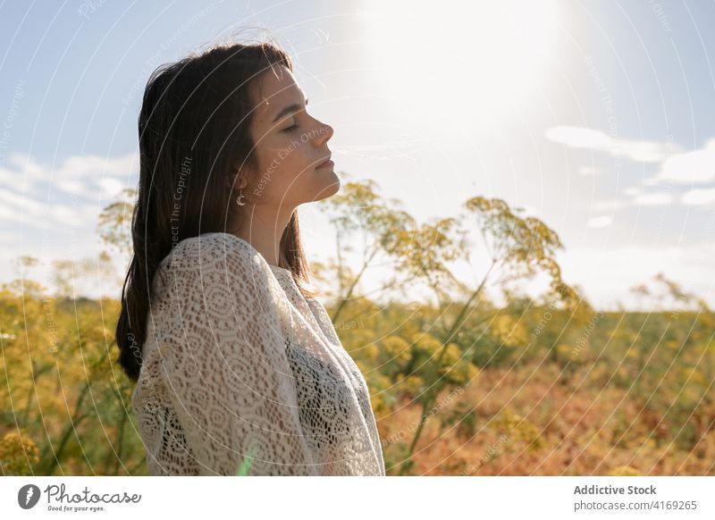 Charming woman in field in summer relax charming countryside chill tender meadow female rest calm serene grass idyllic casual peaceful happy nature tranquil