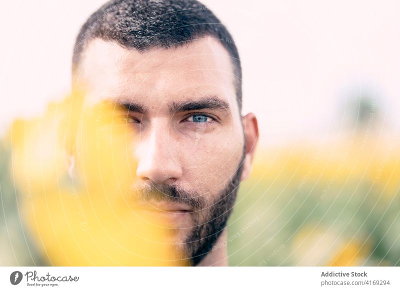 Bearded man standing amidst sunflower field beard summer serious nature portrait bloom adult male human face confident blossom unshaven brunet calm fresh flora