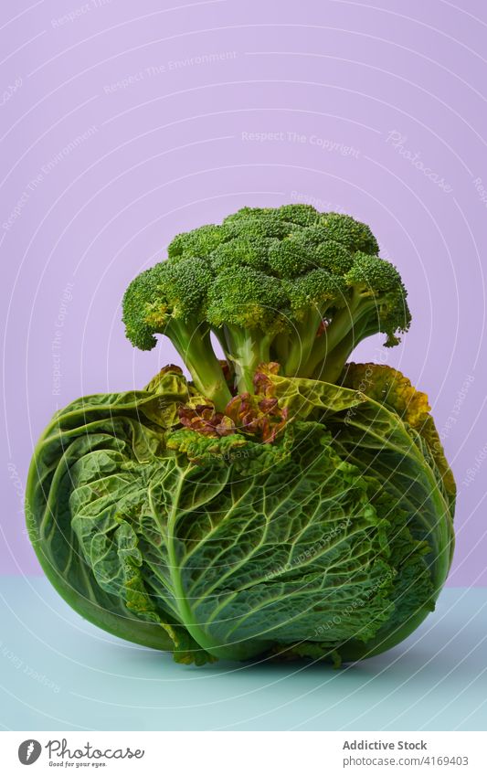 Still life with savoy cabbage food white ingredient green light indoor studio vegan vegetarian healthy grocery shopping copy space cooking white background