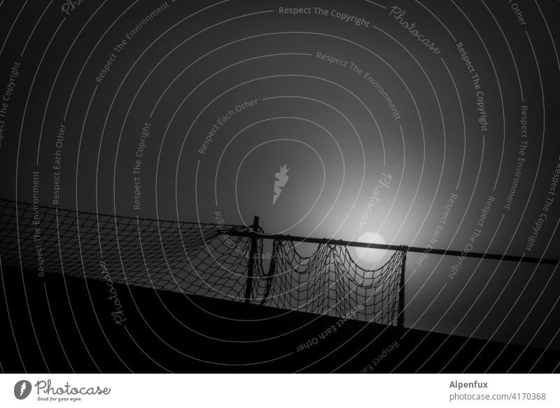 grim tales from the fence Fence cordon gloomy atmosphere Safety Barrier Exterior shot Hoarding Protection Structures and shapes Construction site Grating