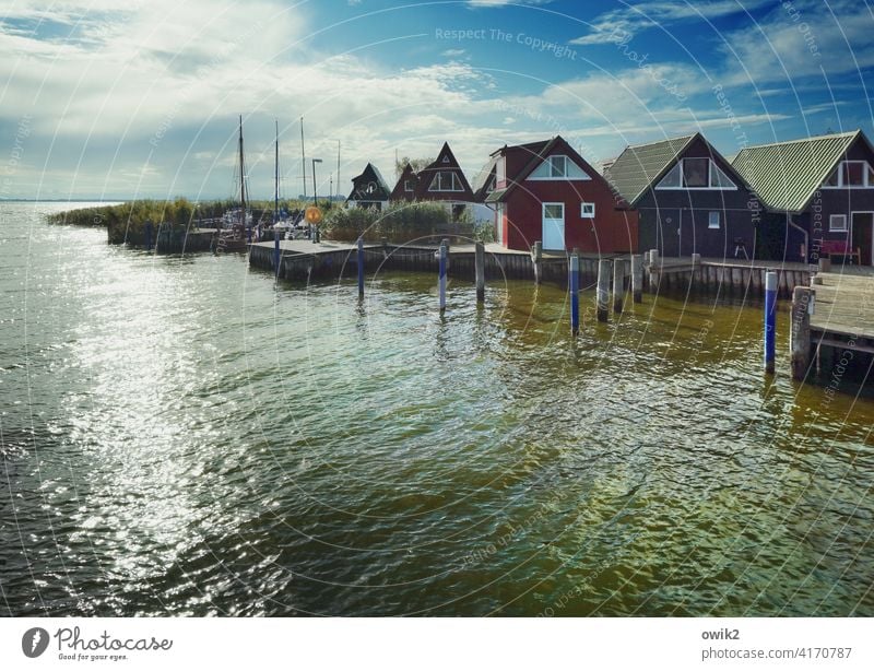 Port entrance Panorama (View) Reflection Silhouette Contrast Day Copy Space bottom Copy Space top Copy Space left Deserted Exterior shot Colour photo