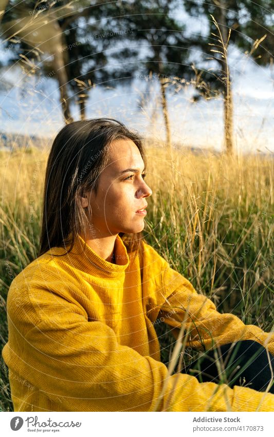 Peaceful woman enjoying sun in nature dreamy sunset countryside field carefree daydream female relax calm meadow sit grass tender freedom embrace dusk rural