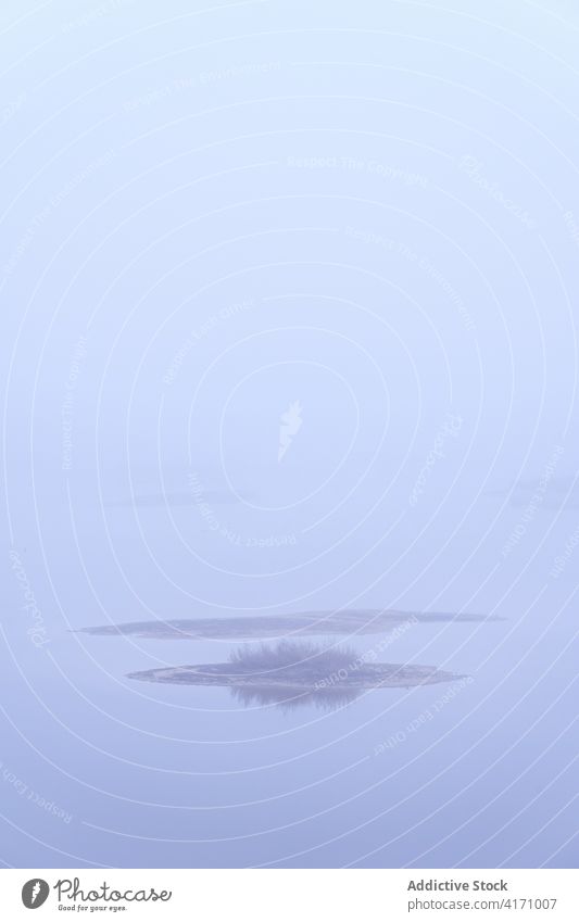 Mysterious lake landscape in a myst morning fog foggy misty mysterious mystery nobody travel nature wetlands lagoon lagoons island horizon minimal minimalist