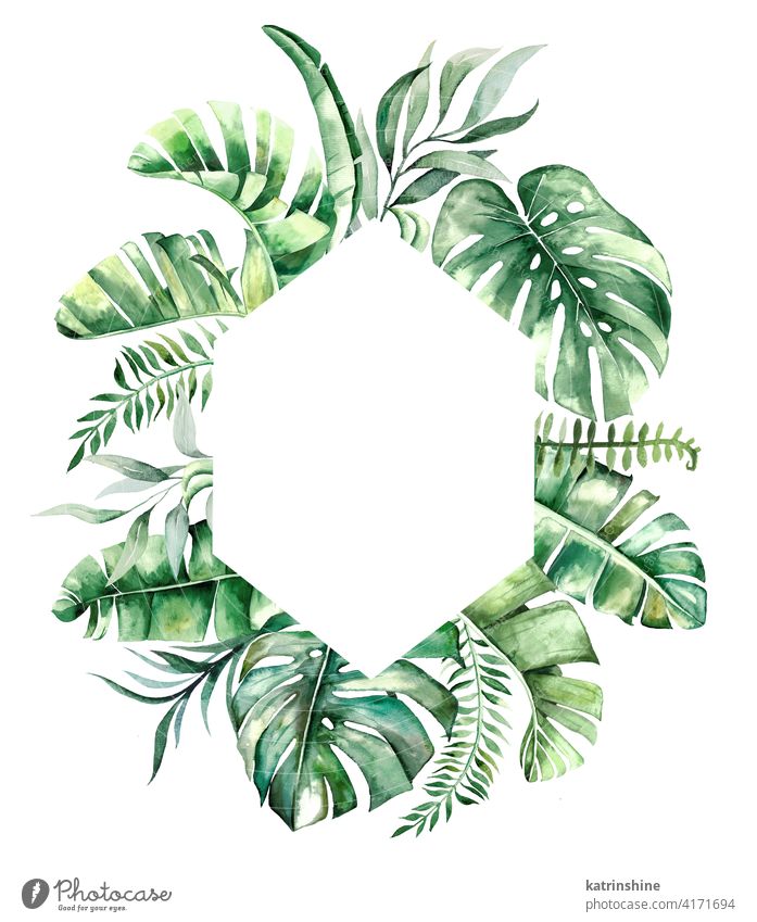 Watercolor tropical leaves frame illustration watercolor green wreath Drawing monstera palm banana fern foliage geometric Botanical Leaf Round Hand drawn