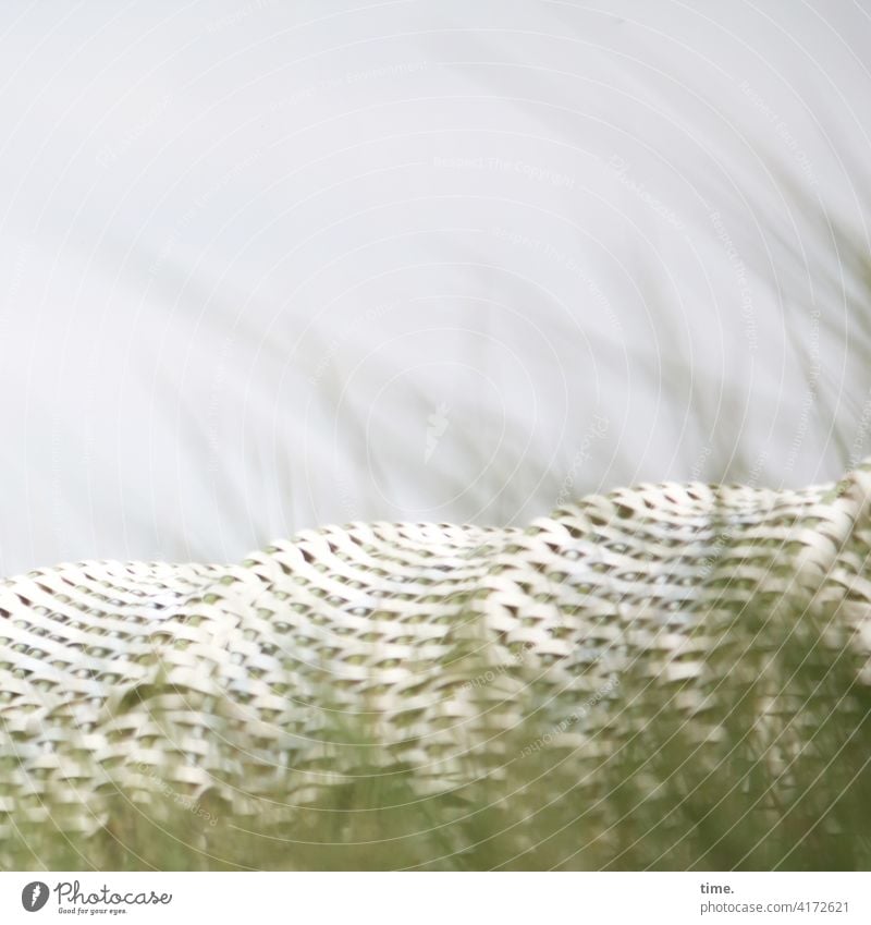 Spring in a box Beach chair Grass marram grass Sky Plaited covert tranquillity Retreat Private