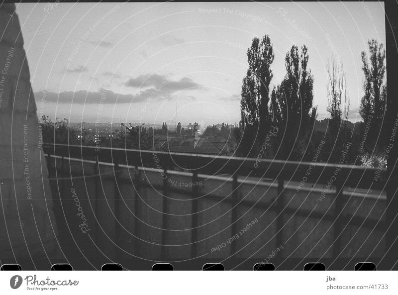 Evening in Kischinow Tree Vantage point Balcony Europe Moldova