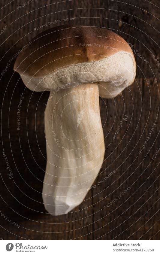 Penny Bun mushroom on rustic wooden table penny bun fungus fresh harvest kitchen food healthy product uncooked tasty delicious organic meal cuisine nutrition