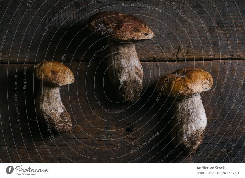 Penny Bun mushrooms on rustic wooden table penny bun fungus fresh harvest kitchen food healthy product uncooked tasty delicious organic meal cuisine nutrition