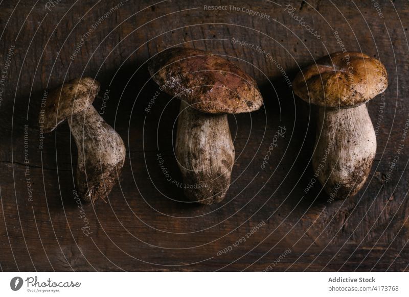 Penny Bun mushrooms on rustic wooden table penny bun fungus fresh harvest kitchen food healthy product uncooked tasty delicious organic meal cuisine nutrition