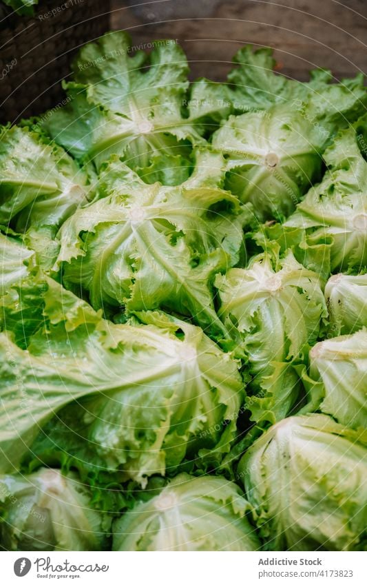 Basket with fresh green lettuce on stone surface iceberg natural organic market food agriculture heap basket harvest healthy ripe ingredient vegetable