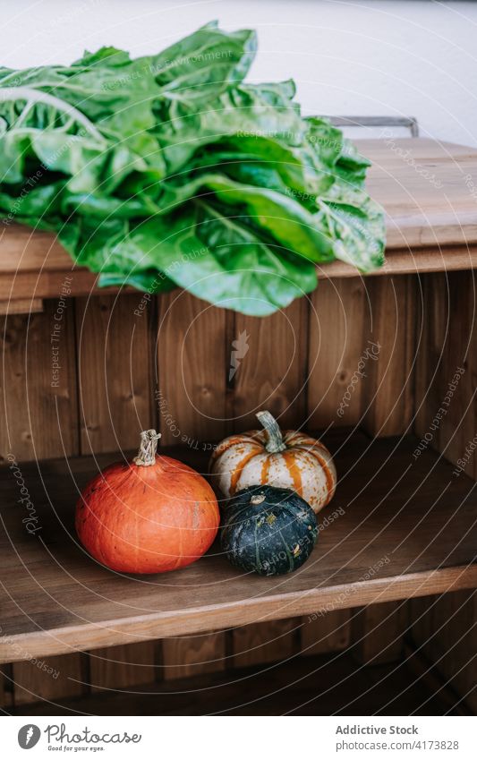 Pumpkins and green chard leaves on wooden counter vegetable pumpkin leaf fresh natural organic food market agriculture various grocery assorted bunch greenery