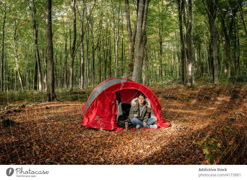 Traveling woman relaxing near camping tent in woods campsite adventure thermos drink hot warm female forest nature tea explorer travel holiday tourist enjoy