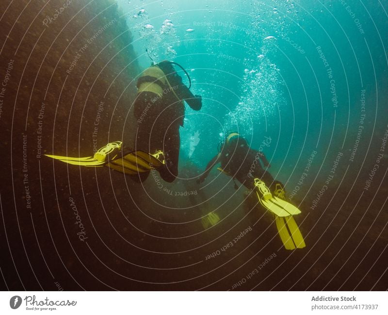 Divers swimming in deep ocean among aquatic vegetation underwater fish nature sea colorful background blue environment tropical adventure scuba dive vacation