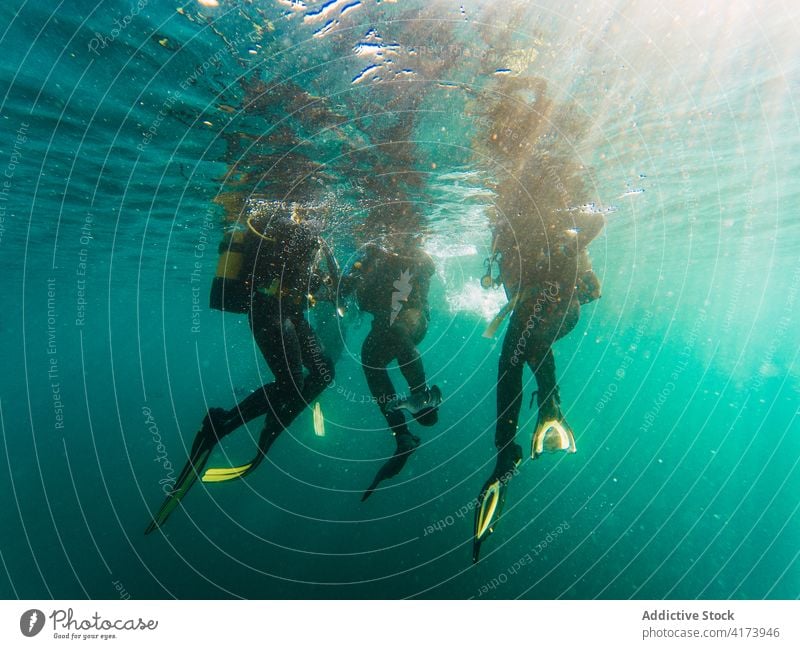 Divers swimming in deep ocean among aquatic vegetation underwater fish nature sea colorful background blue environment tropical adventure scuba dive vacation