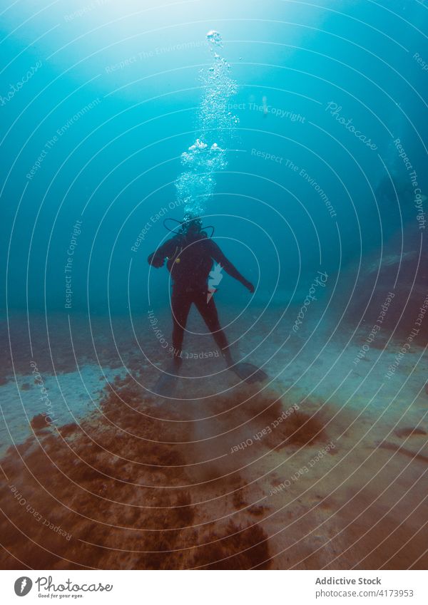 Diver swimming in deep ocean among aquatic vegetation underwater fish nature sea colorful background blue environment tropical adventure scuba dive vacation