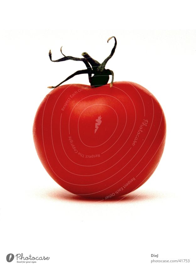 tomato Red Round Healthy Fresh Tomato Vegetable