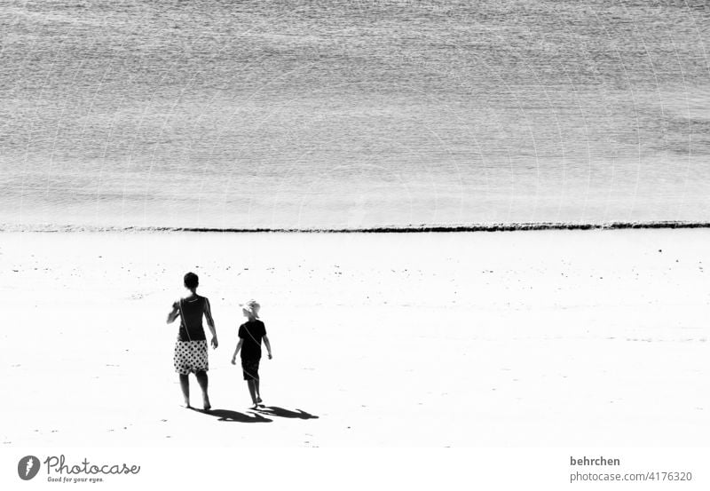 and above us the sea Black & white photo Exterior shot pretty Free Water Sand Fantastic Dream To enjoy Wanderlust Longing Light Contrast Sunlight coast Beach