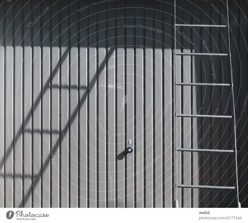 Final report Goal Garage door Tin Ladder Exterior shot Black & white photo Detail Demanding lines Sunlight Shadow Simple unwieldy Deserted Metal Contrast Day