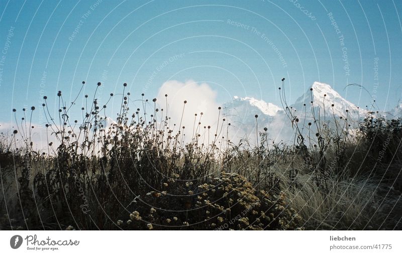 Grass+Berge+ Nepal Mountain Sky