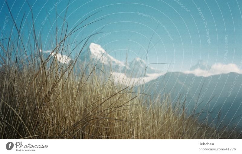 Grass+Mountains Peak Nepal Snow