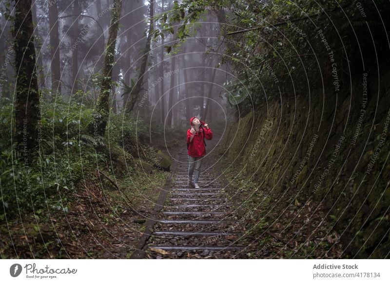 Young ethnic woman hiking in forest in rainy weather hike nature explore traveler stairway activity young asian female adventure journey lifestyle wanderlust