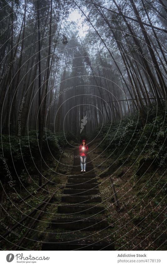 Unrecognizable traveler with flashlight exploring foggy forest hiker rain stairway nature gloomy explore mist activity adventure journey lifestyle wanderlust