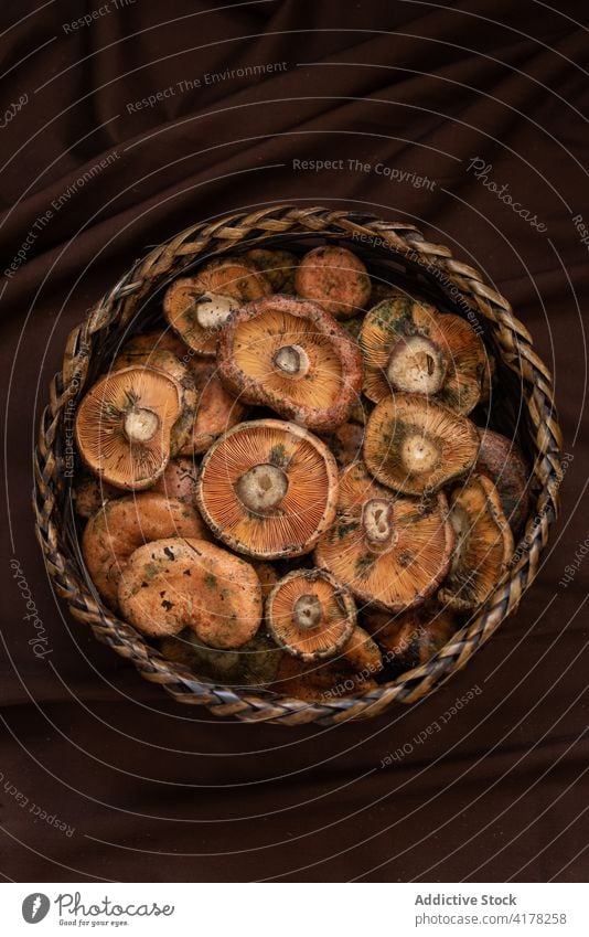 Fresh mushrooms in wicker bowl saffron milk cap fresh raw food natural nutrition meal ingredient healthy organic vegan rustic cuisine vegetarian gastronomy