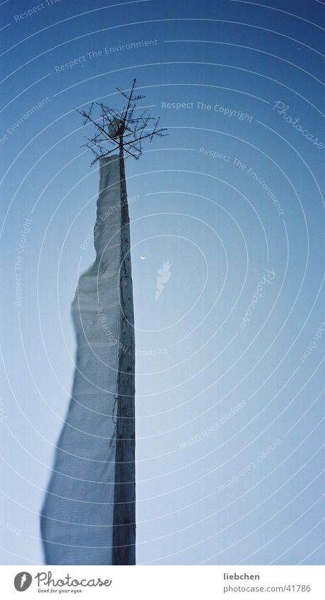 Skywards Prayer flags Tree trunk Nepal Himalayas