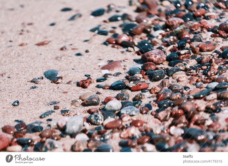 Stones on the Baltic Sea beach in spring light Pebble beach Baltic beach stones beach sand Baltic Sea holiday Beach Walk on the beach Beach stones Sand April