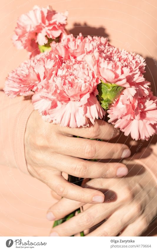 Woman's hands holding a bouquet of carnations. flower pink female woman white pastel holiday present mothers day bunch close up midsection finger natural