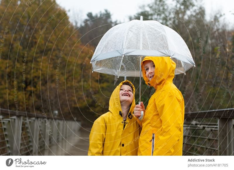 Cheerful kids in yellow raincoats on rainy day child autumn cheerful together sibling umbrella fall bridge weather joy cute enjoy nature happy charming season