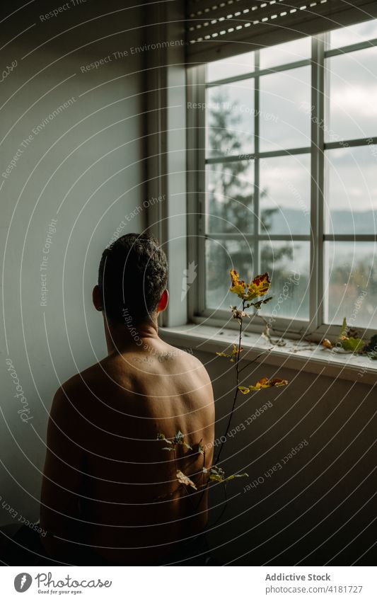 Unrecognizable shirtless man sitting near plant twig melancholy back window weird creative oak tranquil serene calm peaceful tender contemplate gentle branch