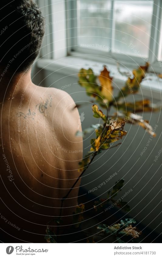 Unrecognizable shirtless man sitting near plant twig melancholy back window weird creative oak tranquil serene calm peaceful tender contemplate gentle branch