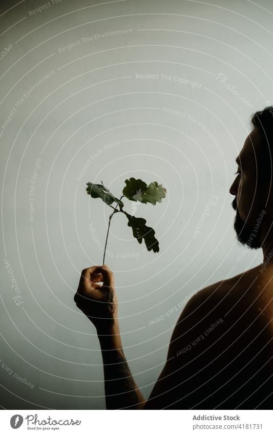 Unemotional shirtless man holding oak twig plant stem naked torso unemotional wistful thoughtful sensitive gentle young pensive melancholy tree calm romantic