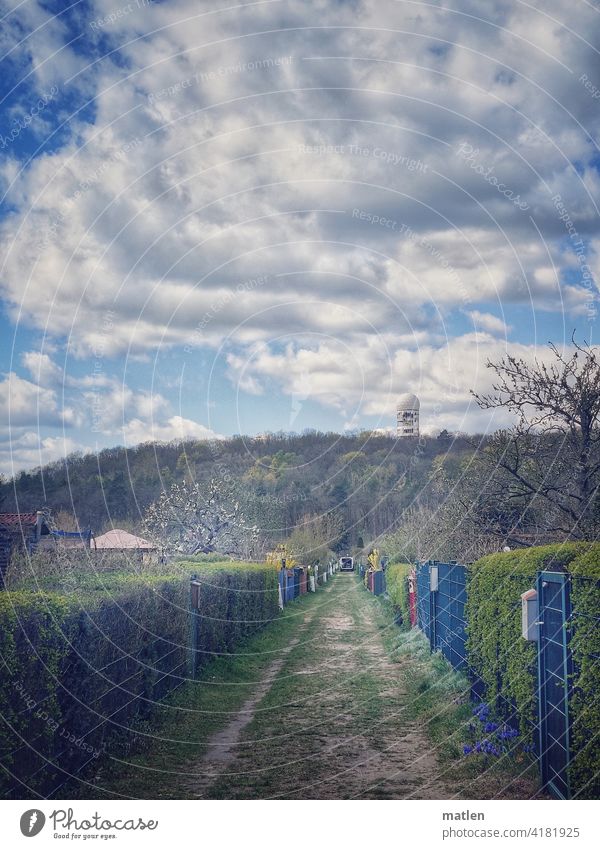 Allotment settlement Allotments Berlin devil's mountain off Sky Clouds Beautiful weather Exterior shot Deserted Colour photo Capital city