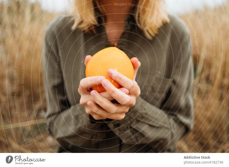 Crop traveler with ripe orange in countryside field tourist fruit healthy food vitamin fresh sweet woman casual apparel bright colorful round shape delicious