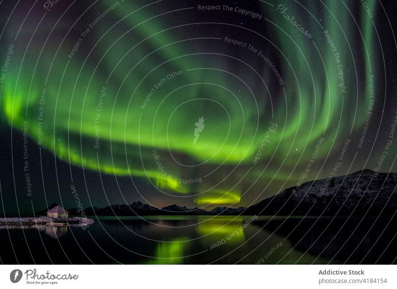 Northern lake at nightView to northern leafless forest in winter under starry cloudless sky with Polar light. nature cold polar light stars dusk covered season