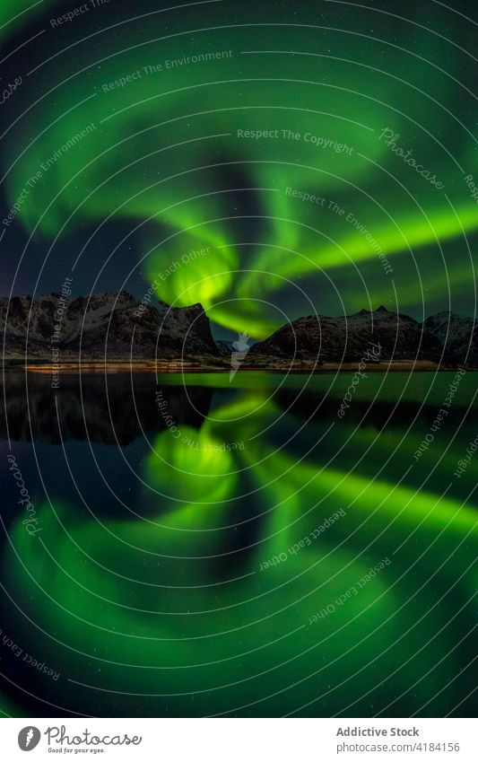 Northern lake at nightView to northern leafless forest in winter under starry cloudless sky with Polar light. nature cold polar light stars dusk covered season